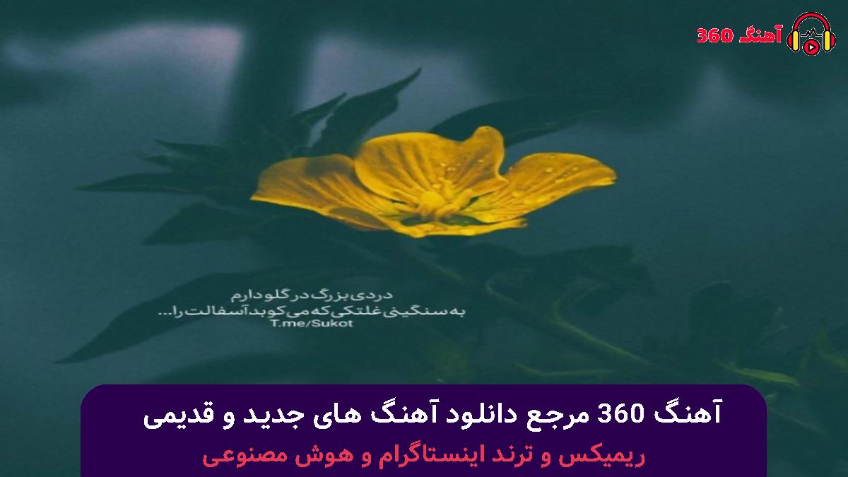 کاور آهنگ ولی من مثل شما نیستم از اولشم نبودم با صدای 